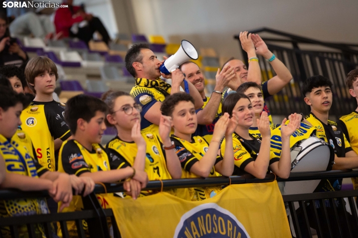 BM Soria: Título en División Plata