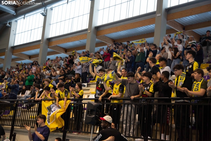 BM Soria: Título en División Plata