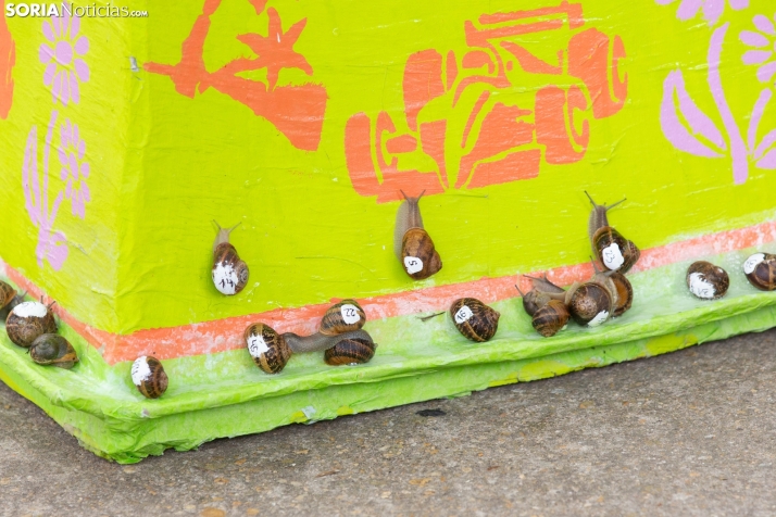 Carrera de caracoles de Peroniel