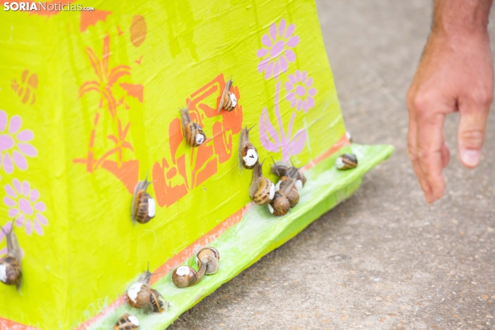 Carrera de caracoles de Peroniel