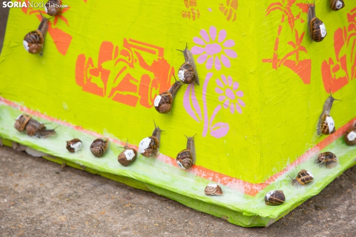 Carrera de caracoles de Peroniel