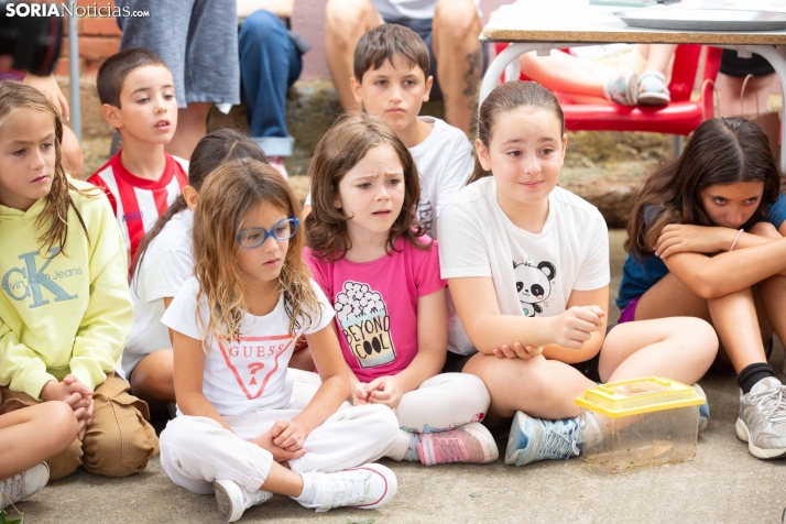 Carrera de caracoles de Peroniel