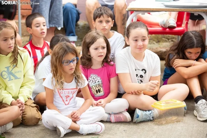 Carrera de caracoles de Peroniel