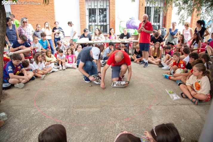 Carrera de caracoles de Peroniel