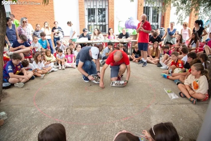 Carrera de caracoles de Peroniel