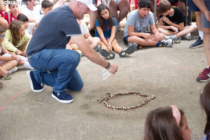 Carrera de caracoles de Peroniel