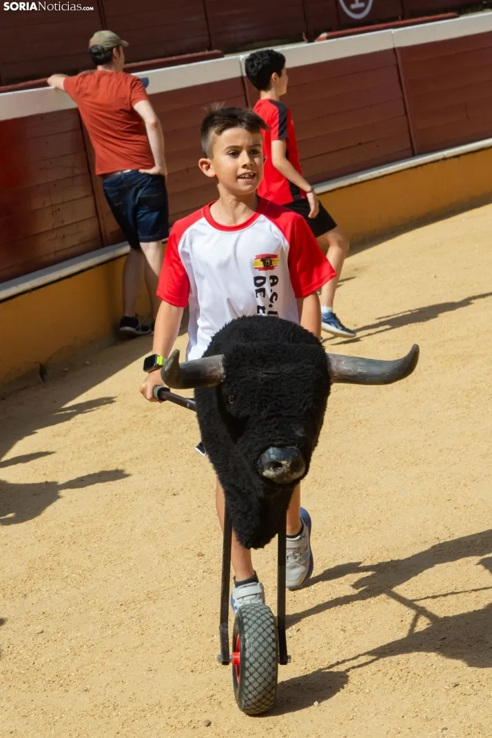 Carretones y Trashumancia infantil