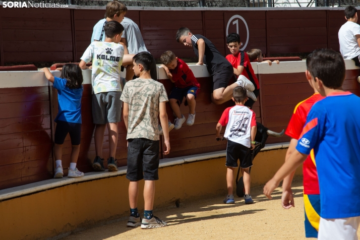Carretones y Trashumancia infantil