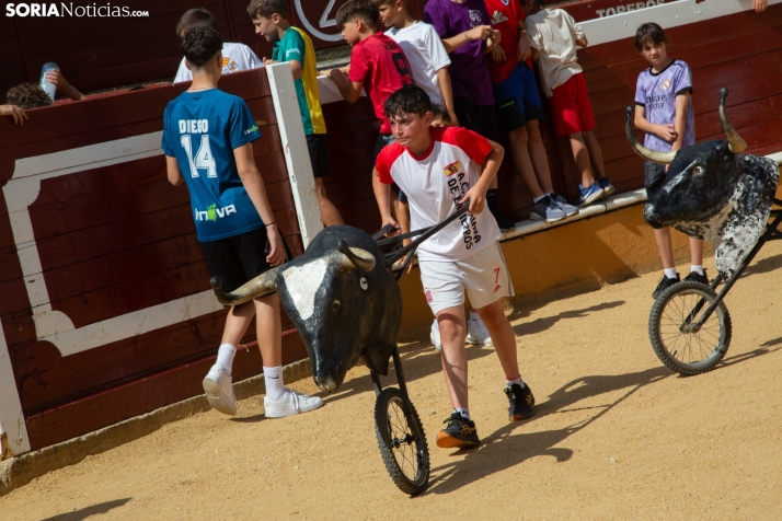 Carretones y Trashumancia infantil