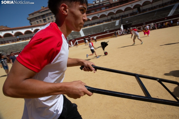 Carretones y Trashumancia infantil