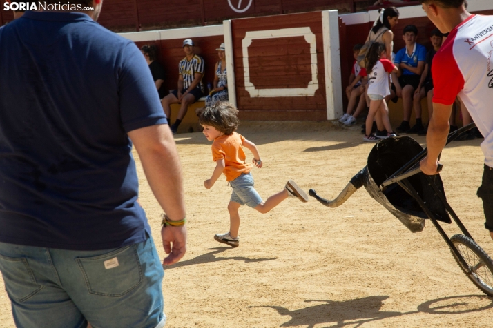 Carretones y Trashumancia infantil