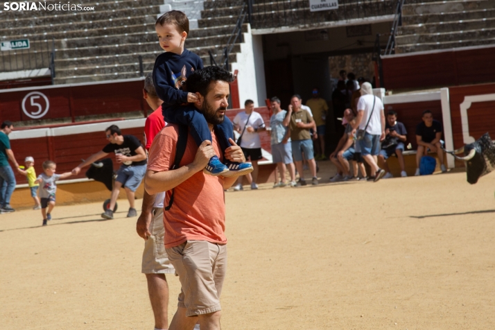 Carretones y Trashumancia infantil