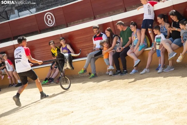 Carretones y Trashumancia infantil