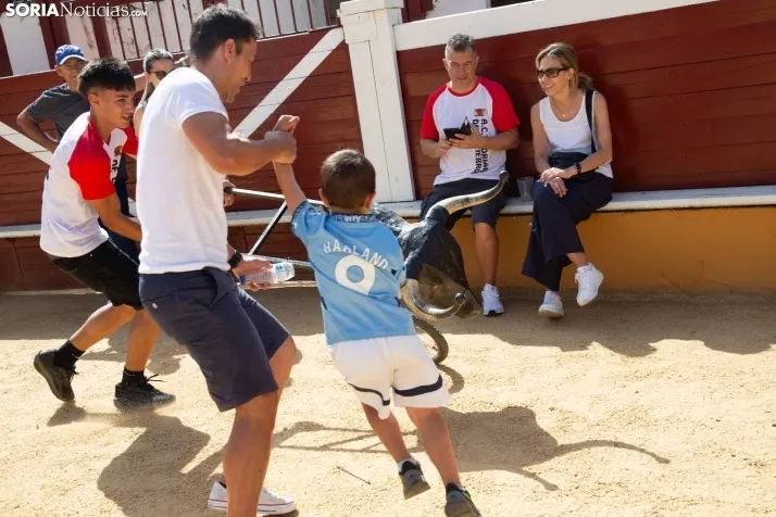Carretones y Trashumancia infantil