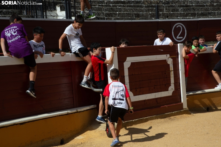 Carretones y Trashumancia infantil