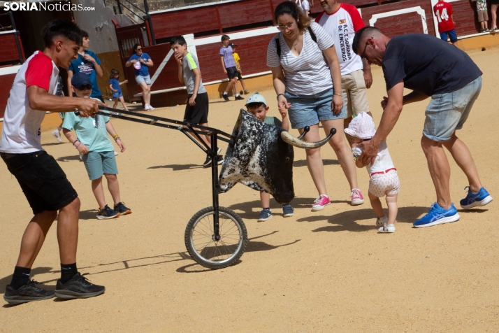 Carretones y Trashumancia infantil