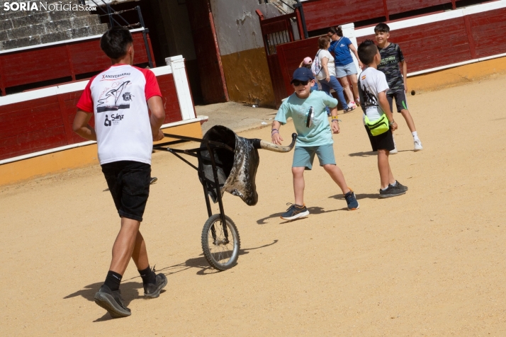 Carretones y Trashumancia infantil