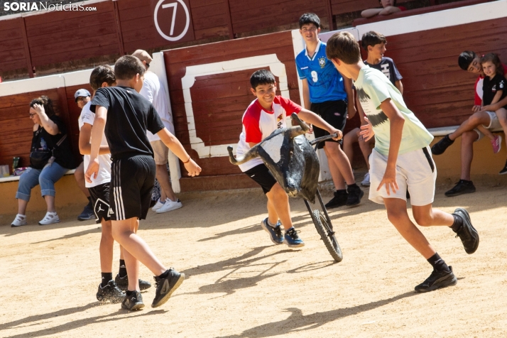Carretones y Trashumancia infantil