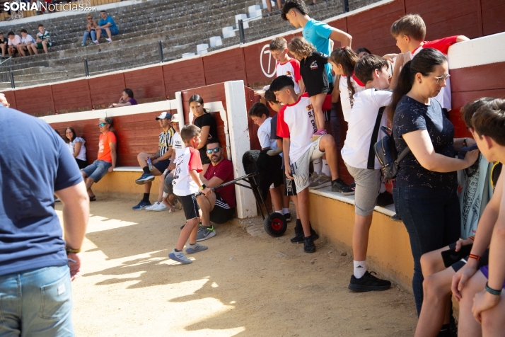 Carretones y Trashumancia infantil