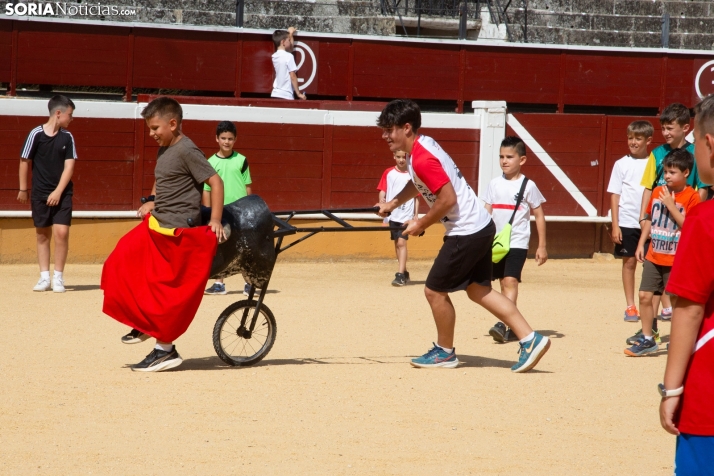 Carretones y Trashumancia infantil