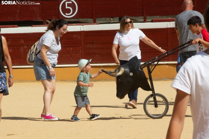 Carretones y Trashumancia infantil
