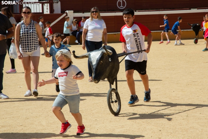Carretones y Trashumancia infantil