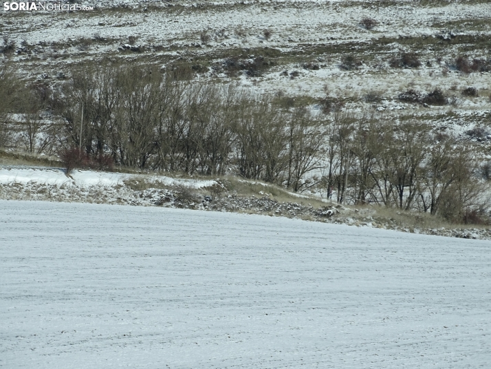 Imagen de esta mañana de sábado en Tierras Altas. /PC