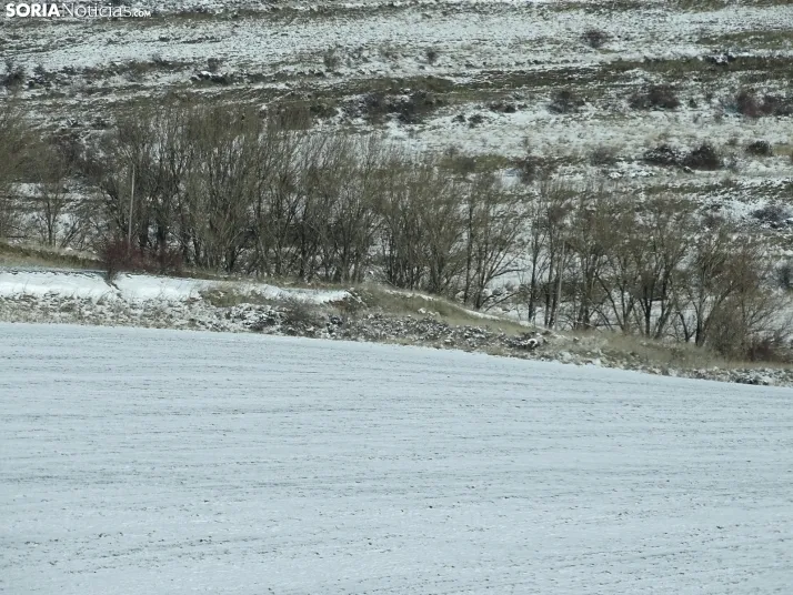 Imagen de esta mañana de sábado en Tierras Altas. /PC