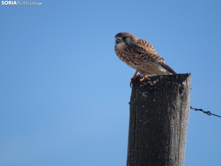 Imagen de esta mañana de sábado en Tierras Altas. /PC