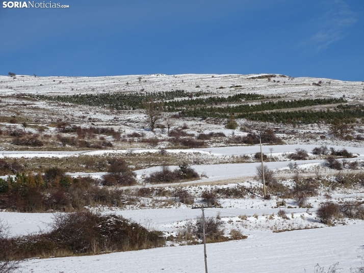 Imagen de esta mañana de sábado en Tierras Altas. /PC