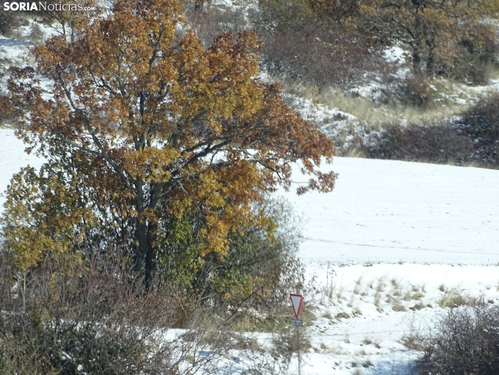 Imagen de esta mañana de sábado en Tierras Altas. /PC