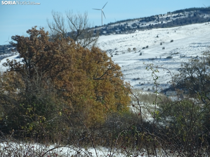Imagen de esta mañana de sábado en Tierras Altas. /PC