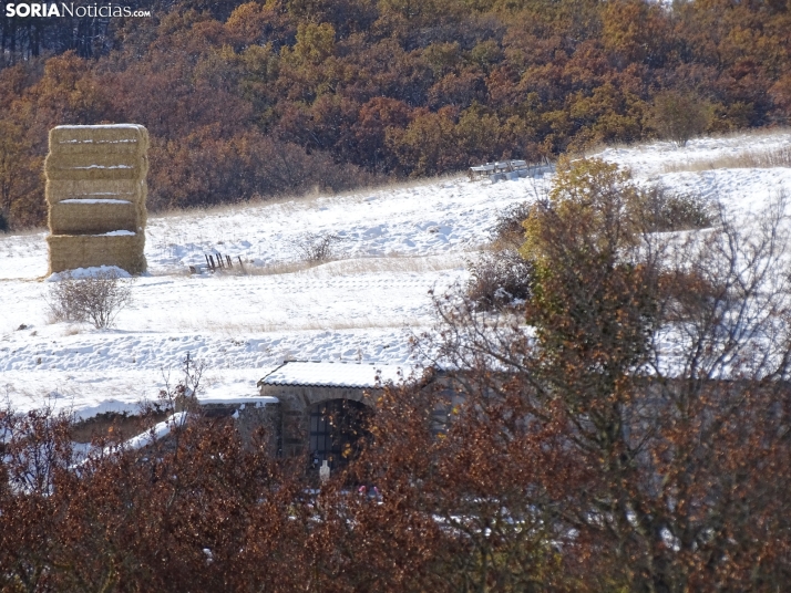 Imagen de esta mañana de sábado en Tierras Altas. /PC
