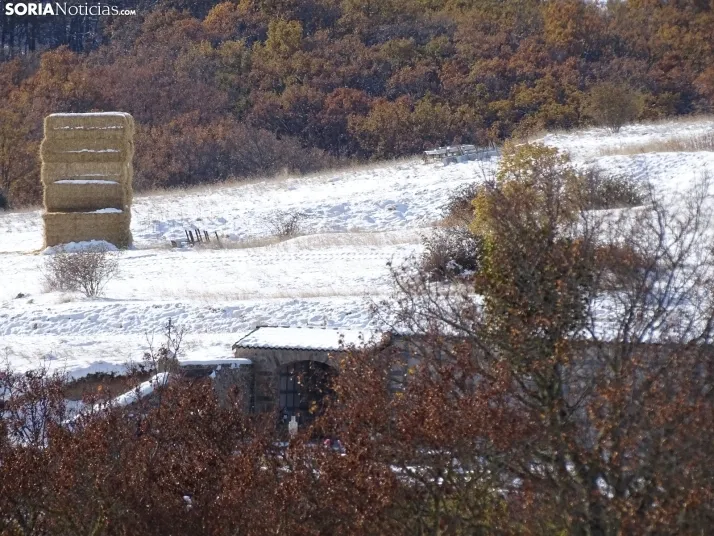 Imagen de esta mañana de sábado en Tierras Altas. /PC