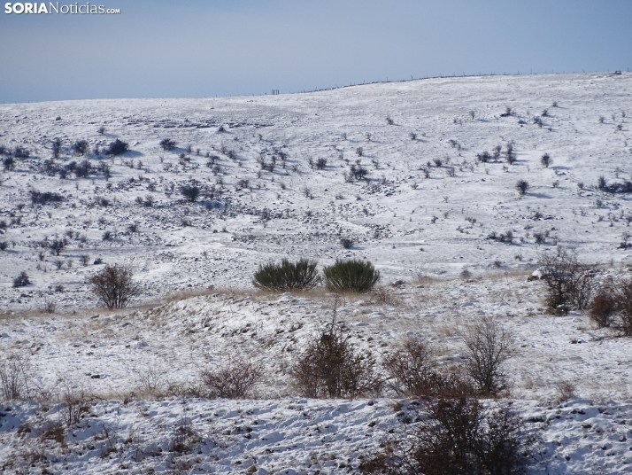 Imagen de esta mañana de sábado en Tierras Altas. /PC