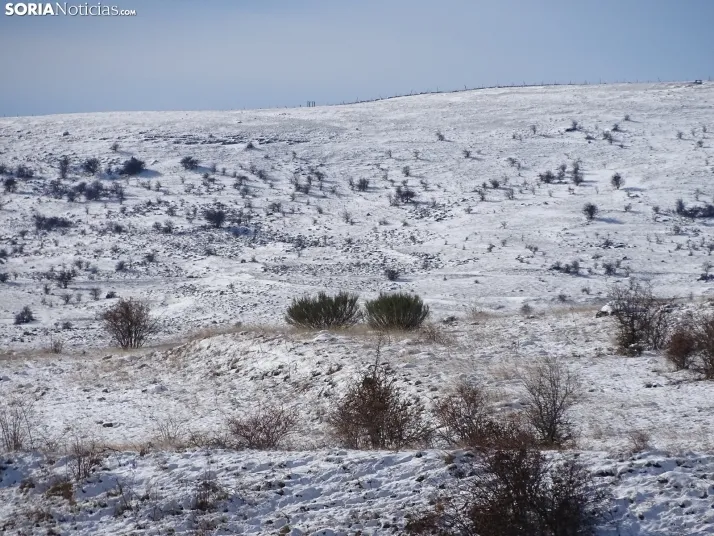 Imagen de esta mañana de sábado en Tierras Altas. /PC