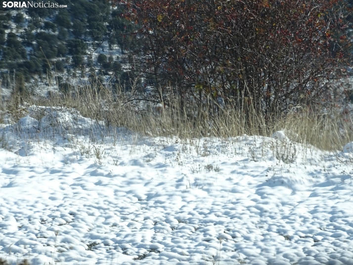 Imagen de esta mañana de sábado en Tierras Altas. /PC
