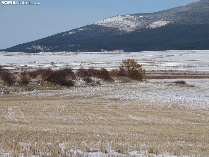 Imagen de esta mañana de sábado en Tierras Altas. /PC