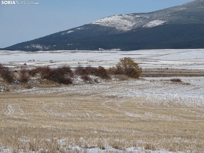 Imagen de esta mañana de sábado en Tierras Altas. /PC