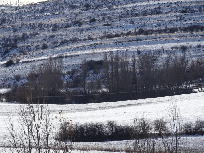 Imagen de esta mañana de sábado en Tierras Altas. /PC