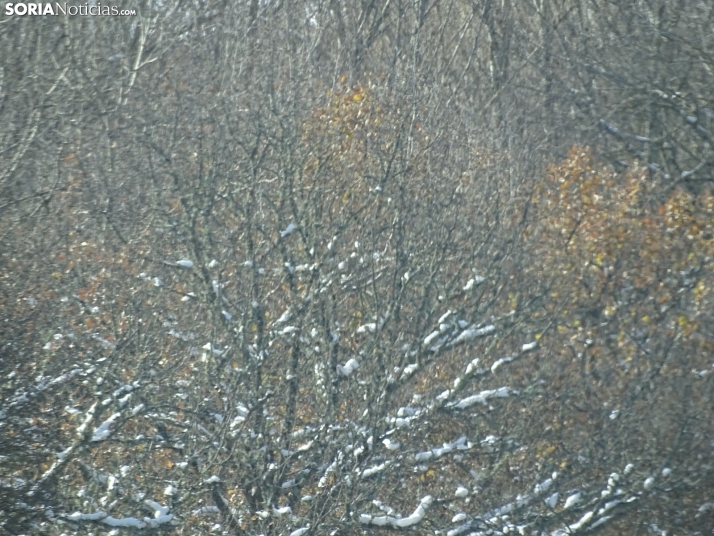 Imagen de esta mañana de sábado en Tierras Altas. /PC