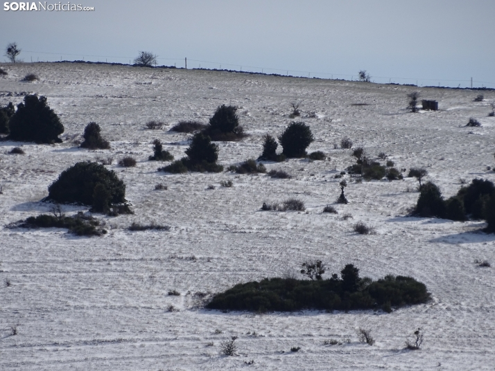 Imagen de esta mañana de sábado en Tierras Altas. /PC