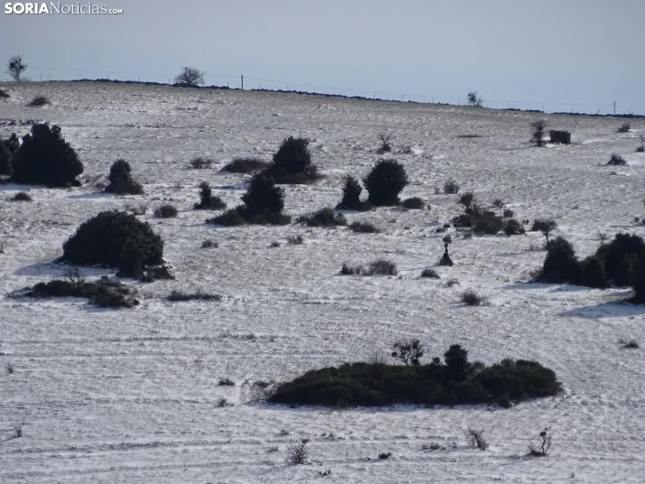 Imagen de esta mañana de sábado en Tierras Altas. /PC