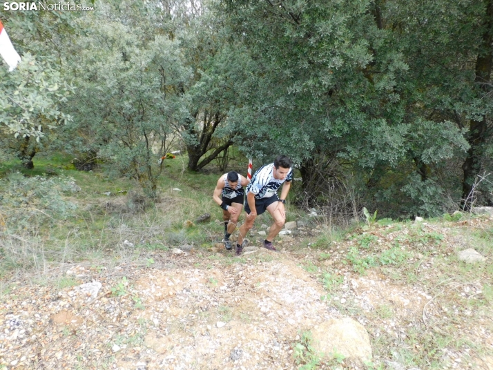 VII Subida al Palillo 