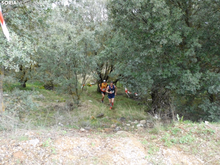 VII Subida al Palillo 