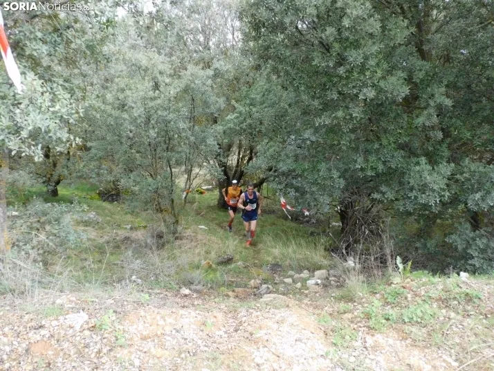 VII Subida al Palillo 