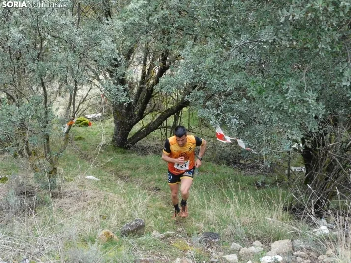 VII Subida al Palillo 