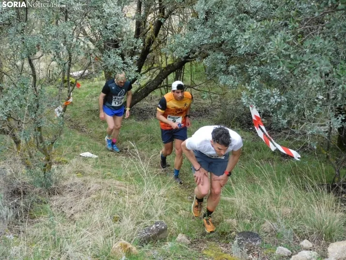 VII Subida al Palillo 