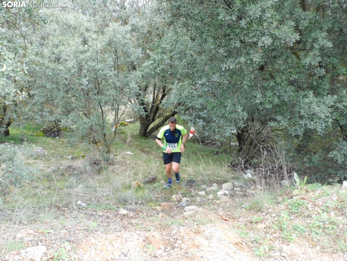 VII Subida al Palillo 