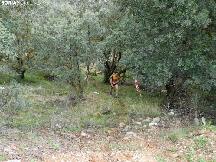 VII Subida al Palillo 